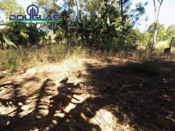 Imagem Imóvel Comercial à Venda, 5.000 m² em águas Claras - Viamão Imagem Imóvel Comercial à Venda, 5.000 m² em águas Claras - Viamão