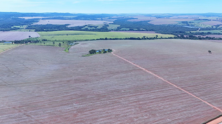 Imagem Fazenda à Venda, 1.530 m² em Zona Rural - Caldas Novas Imagem Fazenda à Venda, 1.530 m² em Zona Rural - Caldas Novas
