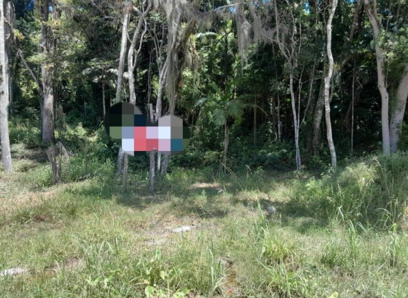 Imagem Terreno à Venda, 300 m² em Zimbros - Bombinhas Imagem Terreno à Venda, 300 m² em Zimbros - Bombinhas