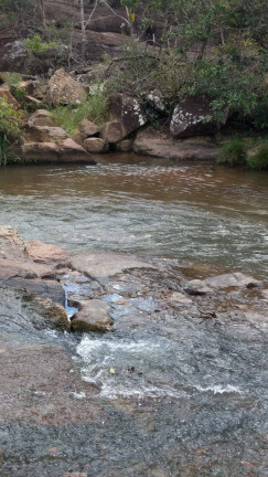 Imagem Fazenda à Venda, 18 m² em Zona Rural - Orizona Imagem Fazenda à Venda, 18 m² em Zona Rural - Orizona