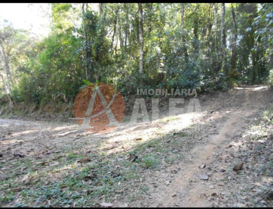 Imagem Terreno à Venda, 21.250 m² em Jardim Museu - Cotia Imagem Terreno à Venda, 21.250 m² em Jardim Museu - Cotia