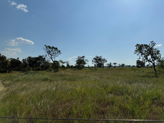 Imóvel à Venda, 997 m² em área Rural De Bom Jesus Do Araguaia - Bom Jesus Do Araguaia