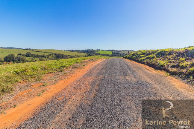 Imagem Terreno à Venda, 3.000 m² em Fazenda São Borja - São Leopoldo Imagem Terreno à Venda, 3.000 m² em Fazenda São Borja - São Leopoldo
