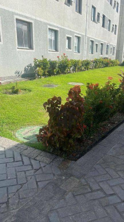 Imagem Apartamento com 2 Quartos à Venda, 42 m² em Piedade - Jaboatão Dos Guararapes Imagem Apartamento com 2 Quartos à Venda, 42 m² em Piedade - Jaboatão Dos Guararapes
