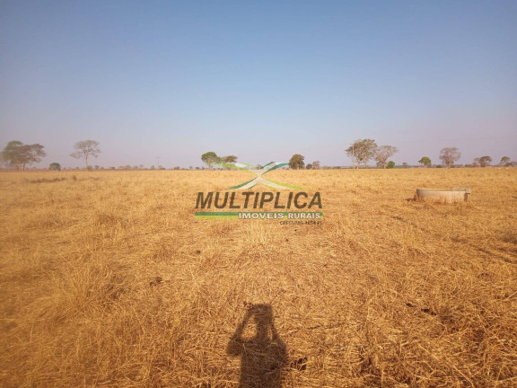 Imagem Fazenda à Venda, 72 m² em Iturama Imagem Fazenda à Venda, 72 m² em Iturama