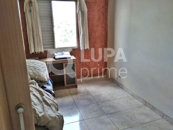 Imagem Apartamento com 3 Quartos à Venda, 67 m² em Vila Constança - São Paulo Imagem Apartamento com 3 Quartos à Venda, 67 m² em Vila Constança - São Paulo