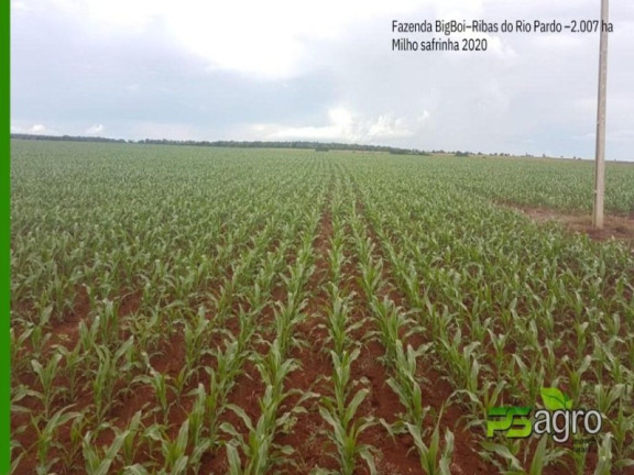 Imagem Imóvel à Venda, 20.070.000 m² em Centro - Ribas Do Rio Pardo Imagem Imóvel à Venda, 20.070.000 m² em Centro - Ribas Do Rio Pardo