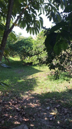Imagem Casa com 5 Quartos à Venda, 587 m² em Caxito - Maricá