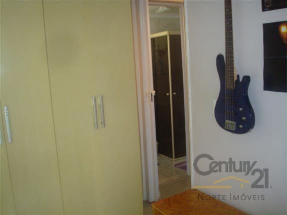 Imagem Apartamento com 3 Quartos à Venda,  em Vila Amélia - São Paulo