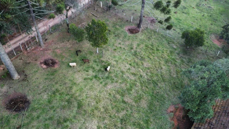 Imagem Imóvel com 5 Quartos à Venda, 48.000 m² em São João Do Caiva - Lapa Imagem Imóvel com 5 Quartos à Venda, 48.000 m² em São João Do Caiva - Lapa