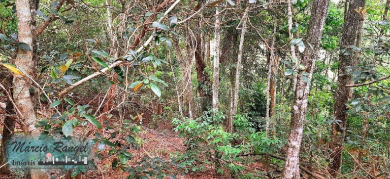 Imagem Imóvel à Venda, 31.000 m² em Caxeta - Campos Dos Goytacazes Imagem Imóvel à Venda, 31.000 m² em Caxeta - Campos Dos Goytacazes