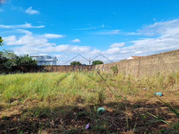 Imagem Terreno à Venda, 700 m² em Vila Brasil - Pirassununga Imagem Terreno à Venda, 700 m² em Vila Brasil - Pirassununga
