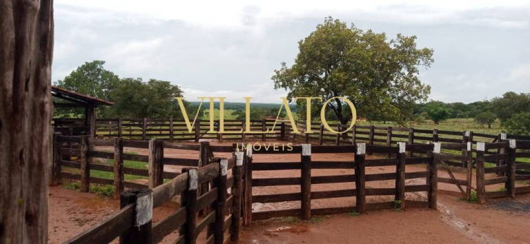 Imagem Fazenda à Venda, 217 m² em Setor Central - Mundo Novo Imagem Fazenda à Venda, 217 m² em Setor Central - Mundo Novo