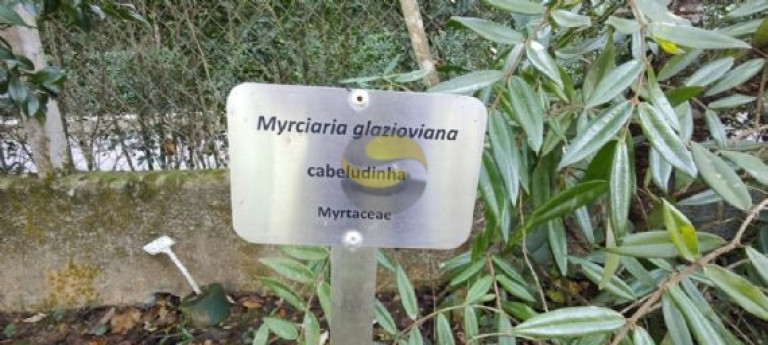 Imagem Terreno à Venda, 1.826 m² em Jardim Colibri - Cotia