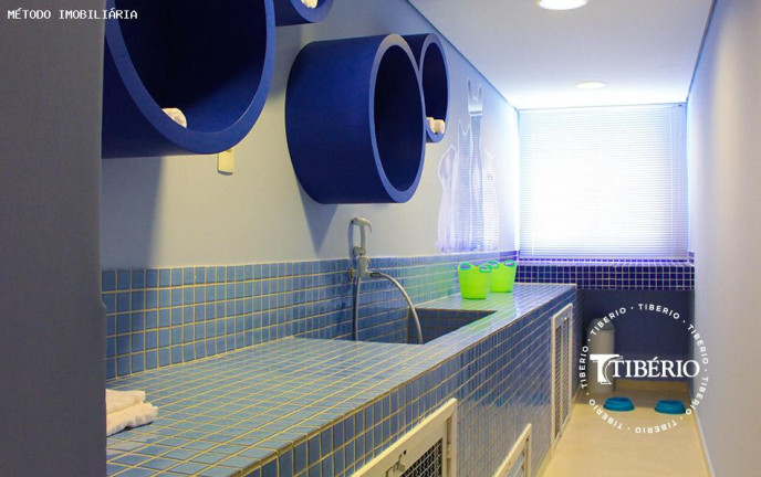 Imagem Apartamento com 3 Quartos à Venda, 76 m² em Vila Guarani - São Paulo