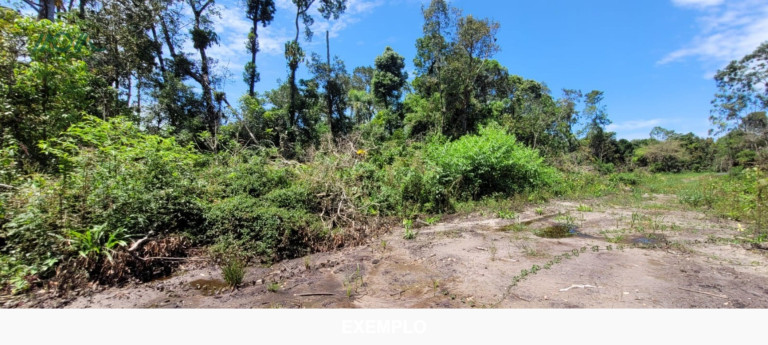 Imagem Terreno à Venda, 384 m² em Continental - Itapoá