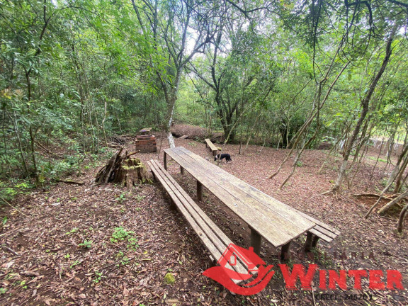 Imagem Chácara à Venda, 63.000 m² em São Roque - Feliz