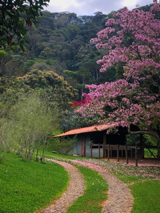 Fazenda à Venda, 400 m² em Zona Rural - Pequeri