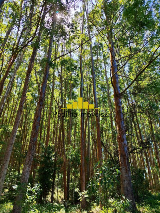 Fazenda à Venda, 100 m² em Itapeva