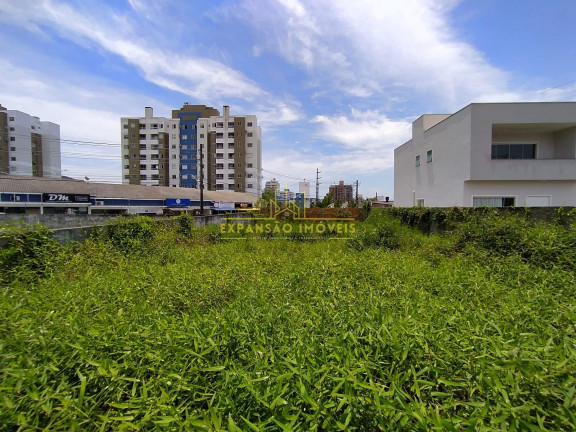 Imagem Terreno à Venda, 360 m² em Pedra Branca - Palhoça Imagem Terreno à Venda, 360 m² em Pedra Branca - Palhoça