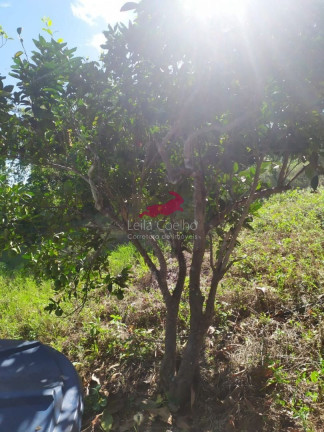 Imagem Chácara com 1 Quarto à Venda, 2.335 m² em São Caetano - Italva