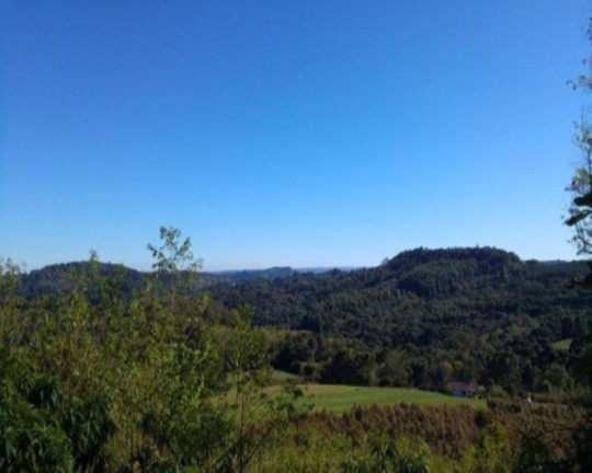 Terreno à Venda, 6.210 m² em Linha Imperial - Nova Petrópolis