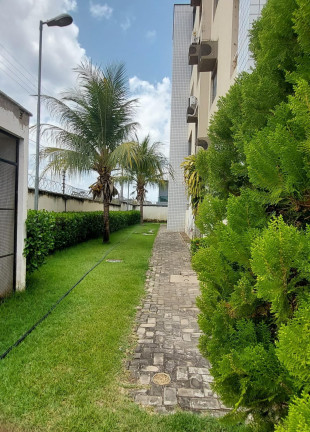 Imagem Apartamento com 2 Quartos à Venda, 52 m² em Piçarreira - Teresina