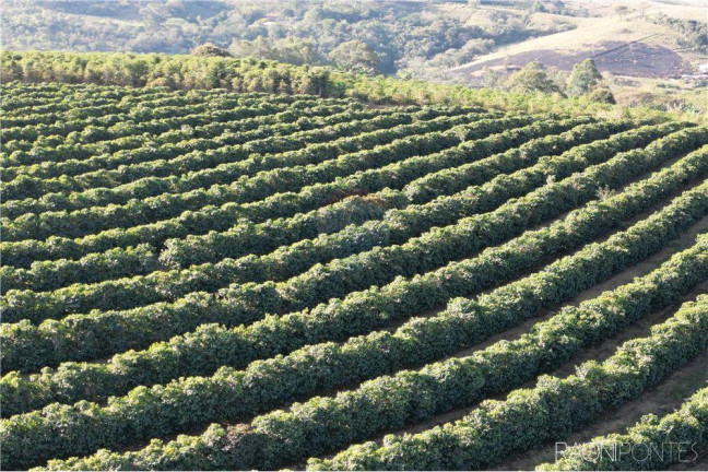 Imagem Fazenda à Venda, 3.650.000 m² em Zona Rual - Andradas
