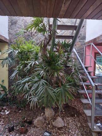 Imagem Casa com 6 Quartos à Venda, 700 m² em Piatã - Salvador Imagem Casa com 6 Quartos à Venda, 700 m² em Piatã - Salvador
