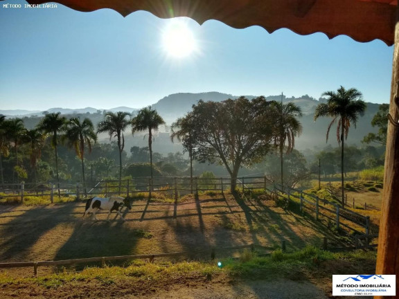 Imagem Chácara com 4 Quartos à Venda, 200 m² em Rural - Pinhalzinho