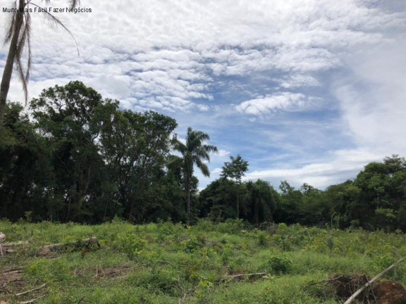 Imagem Terreno à Venda, 5 m² em Nove Colônias - Nova Petrópolis