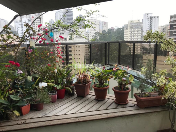 Imagem Apartamento com 3 Quartos à Venda, 200 m² em Panamby - São Paulo Imagem Apartamento com 3 Quartos à Venda, 200 m² em Panamby - São Paulo