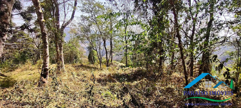Imagem Chácara à Venda, 49 m² em Centro - Gonçalves Imagem Chácara à Venda, 49 m² em Centro - Gonçalves