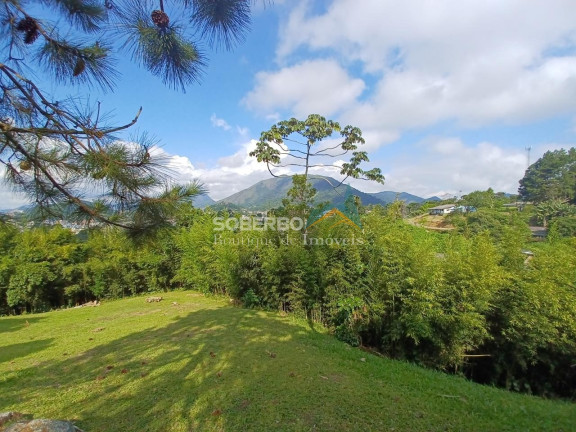 Imagem Imóvel com 4 Quartos à Venda, 10.920 m² em Granja Guarani - Teresópolis