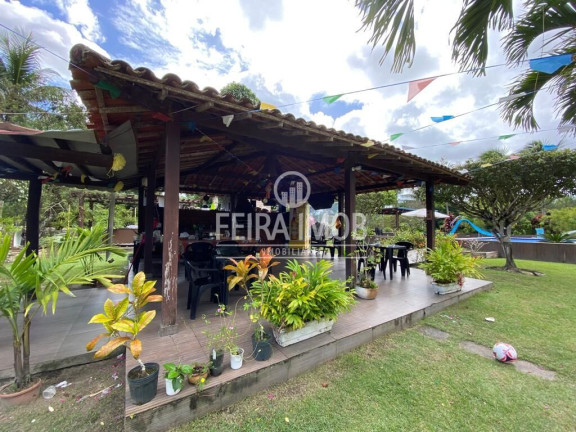 Imagem Fazenda à Venda, 400 m² em Alagoinhas Velha - Alagoinhas Imagem Fazenda à Venda, 400 m² em Alagoinhas Velha - Alagoinhas