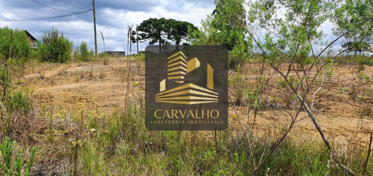 Imagem Terreno à Venda, 21.642 m² em Bela Vista Alegre - Rio Negrinho Imagem Terreno à Venda, 21.642 m² em Bela Vista Alegre - Rio Negrinho