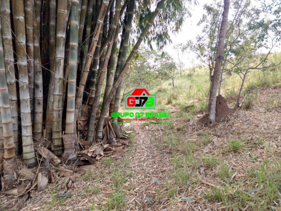 Imagem Chácara à Venda, 5 m² em Sob. Consulta - Caçapava Imagem Chácara à Venda, 5 m² em Sob. Consulta - Caçapava