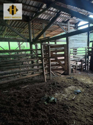 Imagem Chácara com 3 Quartos à Venda, 145.000 m² em Santo Antônio - Chapecó