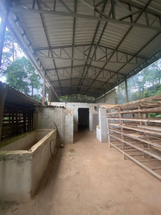 Imagem Casa com 3 Quartos à Venda, 7.800 m² em Mairiporã Imagem Casa com 3 Quartos à Venda, 7.800 m² em Mairiporã