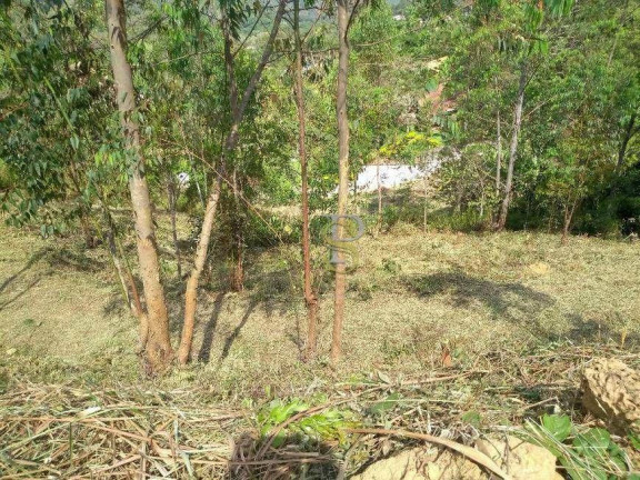 Imagem Terreno à Venda, 1.980 m² em Rio Acima - Mairiporã