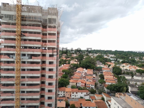 Imagem Apartamento com 2 Quartos à Venda, 81 m² em Vila Santa Catarina - São Paulo Imagem Apartamento com 2 Quartos à Venda, 81 m² em Vila Santa Catarina - São Paulo