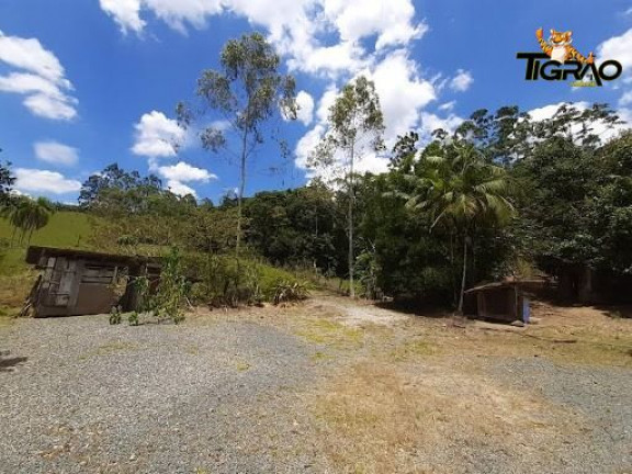 Imagem Chácara com 4 Quartos à Venda, 300.000 m² em Ilhota - Ilhota Imagem Chácara com 4 Quartos à Venda, 300.000 m² em Ilhota - Ilhota