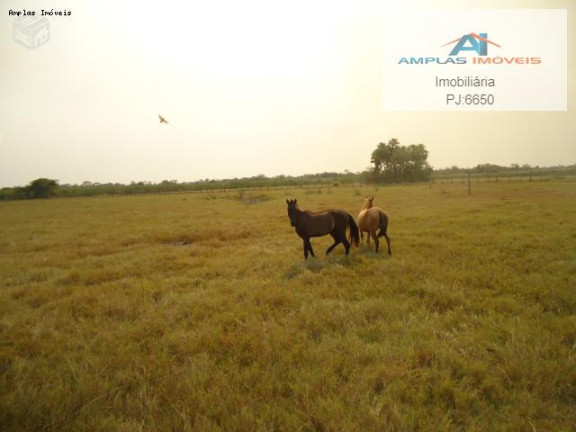 Imagem Fazenda à Venda, 58.000 m² em Cáceres Imagem Fazenda à Venda, 58.000 m² em Cáceres