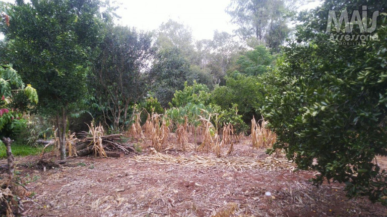 Imagem Terreno à Venda, em Campestre - São Leopoldo Imagem Terreno à Venda, em Campestre - São Leopoldo