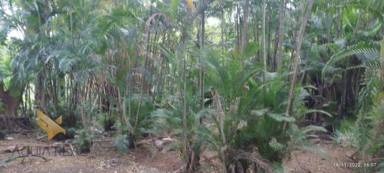 Imagem Chácara com 3 Quartos à Venda, 135 m² em Jardim Nossa Senhora Do Perpétuo Socorro - Campo Grande Imagem Chácara com 3 Quartos à Venda, 135 m² em Jardim Nossa Senhora Do Perpétuo Socorro - Campo Grande