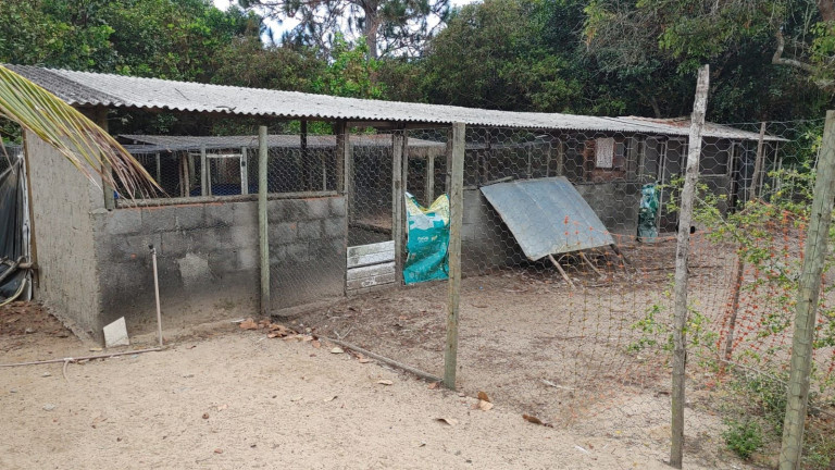 Imagem Fazenda à Venda, 200 m² em Acú Da Torre - Mata De São João Imagem Fazenda à Venda, 200 m² em Acú Da Torre - Mata De São João