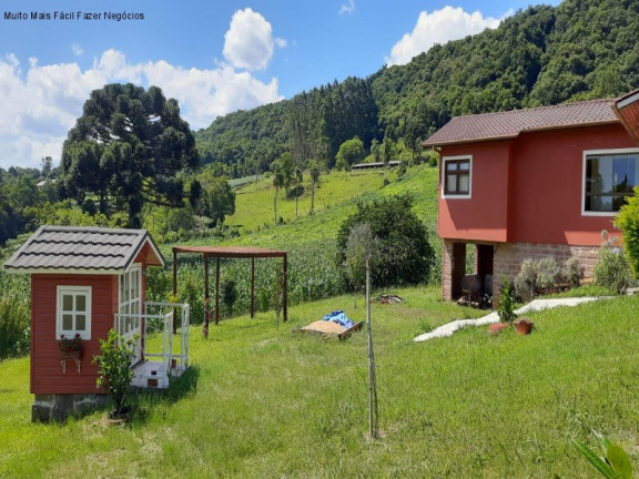 Imagem Imóvel com 4 Quartos à Venda, 300 m² em Pinhal Alto - Nova Petrópolis