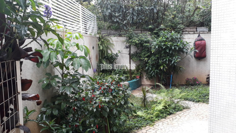 Imagem Casa com 3 Quartos à Venda, 451 m² em Jardim Paulista - São Paulo Imagem Casa com 3 Quartos à Venda, 451 m² em Jardim Paulista - São Paulo