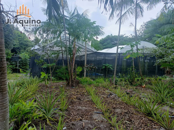 Imagem Chácara com 4 Quartos à Venda, 10 m² em Patacas - Aquiraz Imagem Chácara com 4 Quartos à Venda, 10 m² em Patacas - Aquiraz