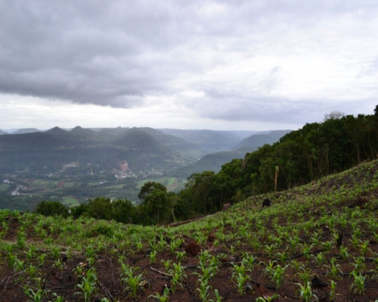 Imagem Imóvel à Venda, em Vila Germânia - Nova Petrópolis Imagem Imóvel à Venda, em Vila Germânia - Nova Petrópolis